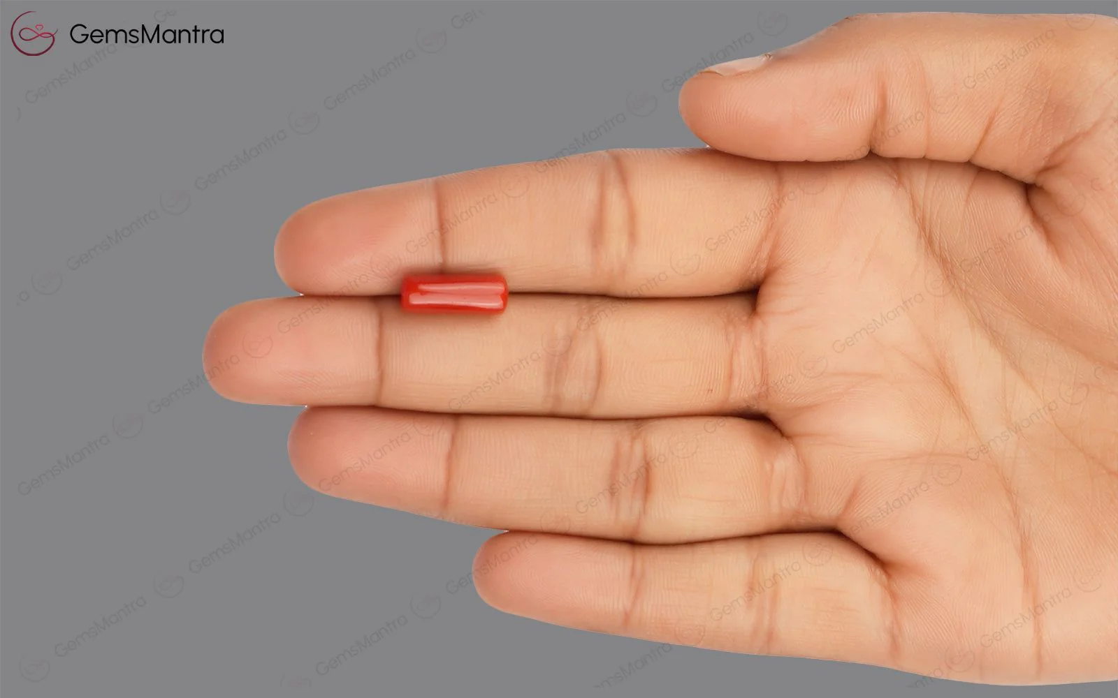 Red Coral - 3.72 Carats - Image 3