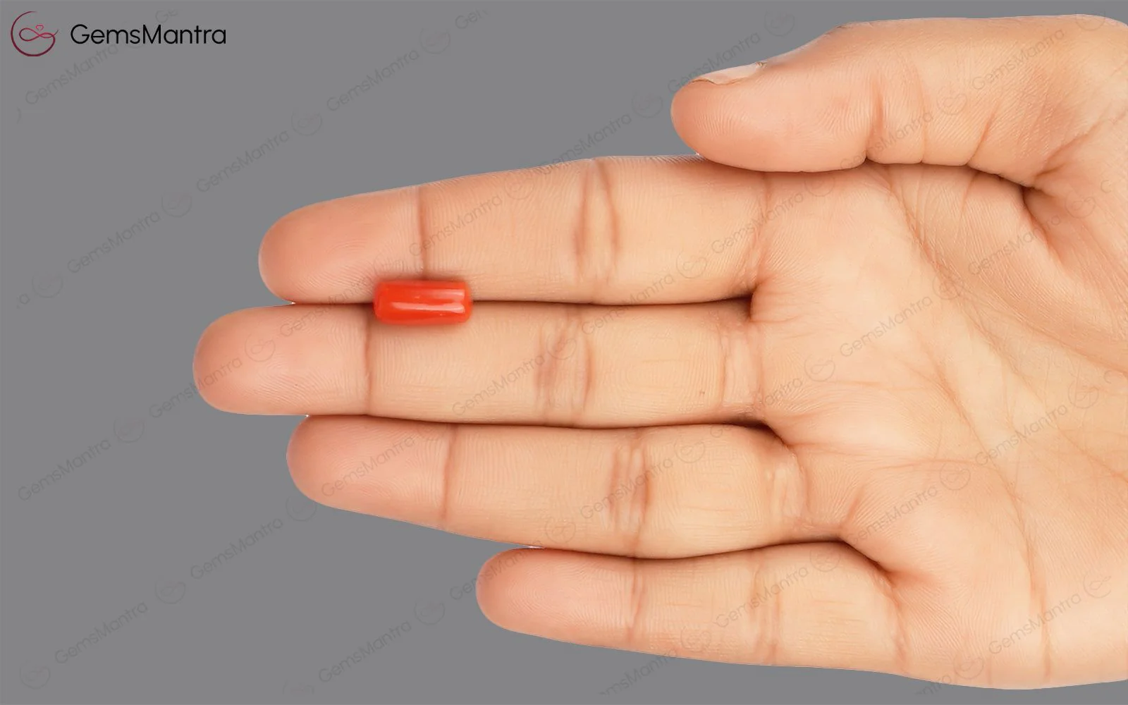 Red Coral - 3.67 Carats - Image 3