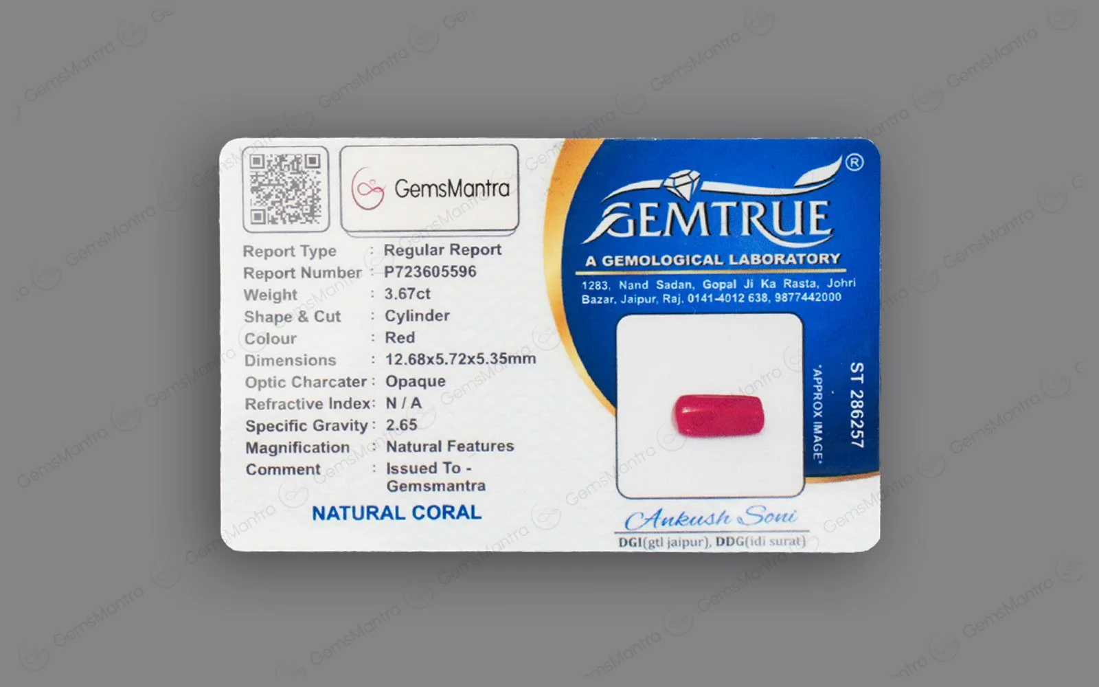 Red Coral - 3.67 Carats - Image 4