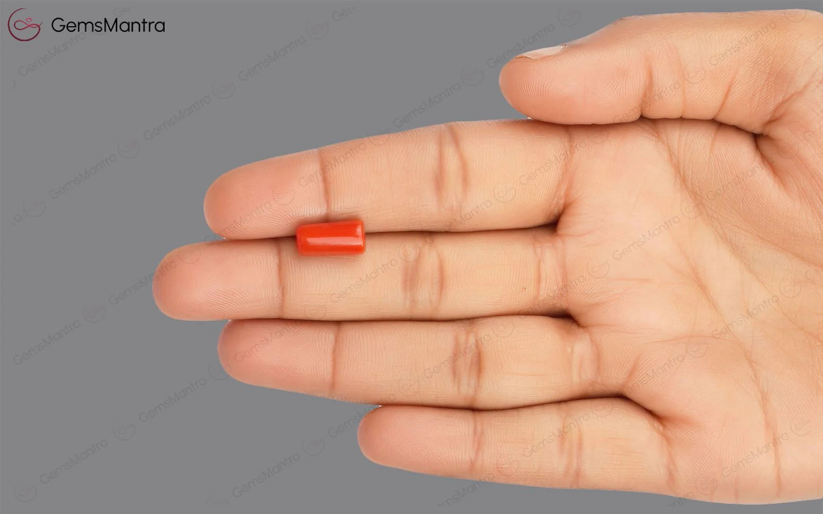 Red Coral - 3.88 Carats - Image 3
