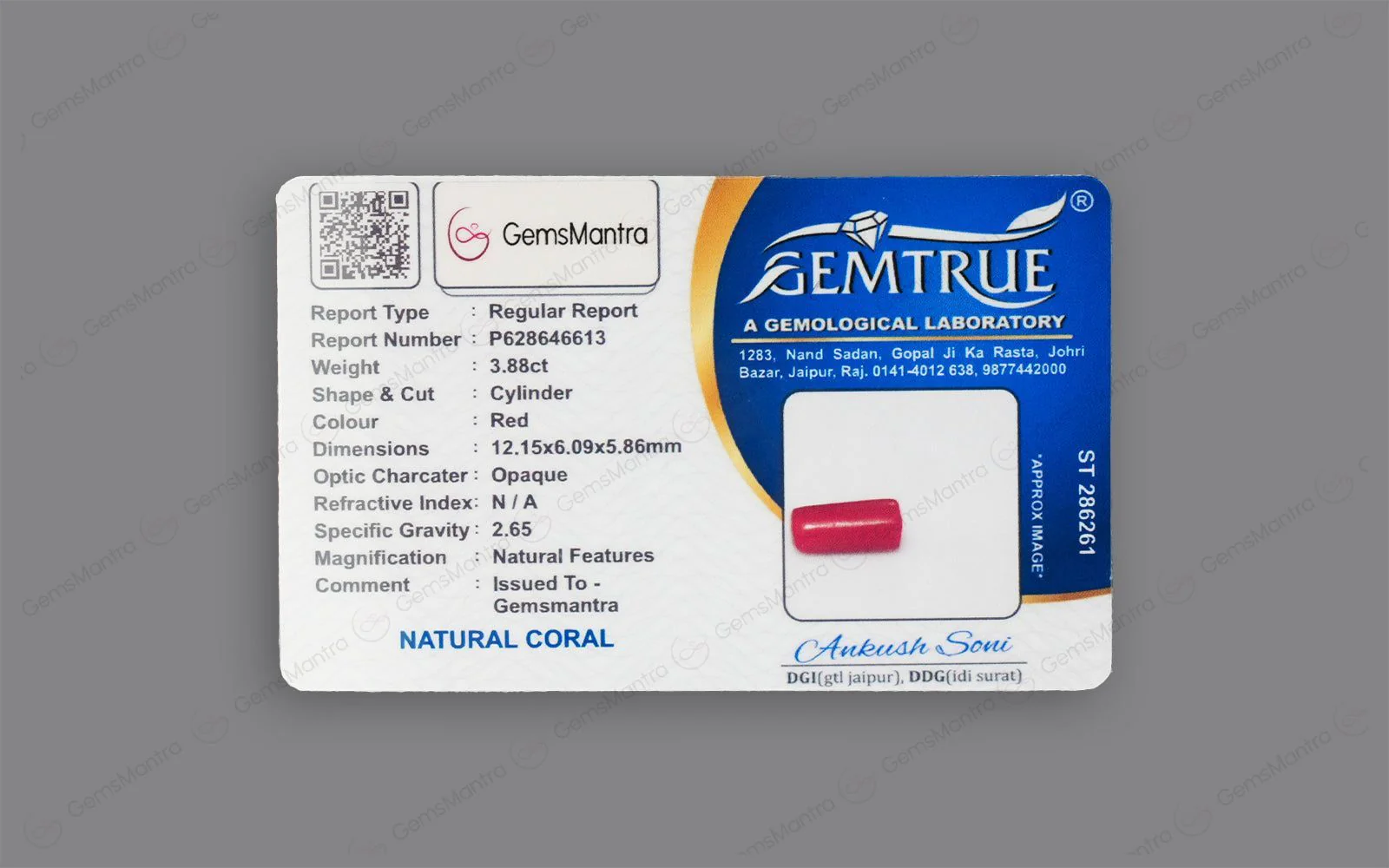 Red Coral - 3.88 Carats - Image 4