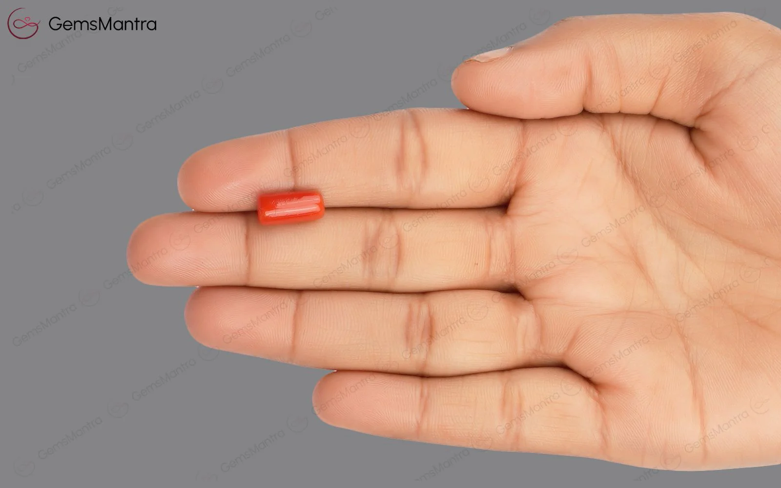 Red Coral - 3.67 Carats - Image 3