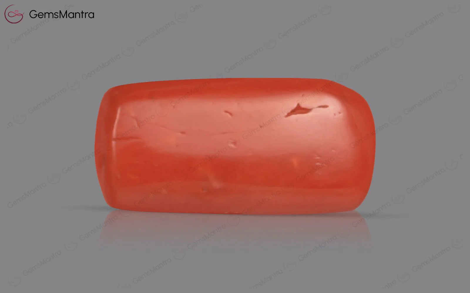 Red Coral - 3.97 Carats - Image 2