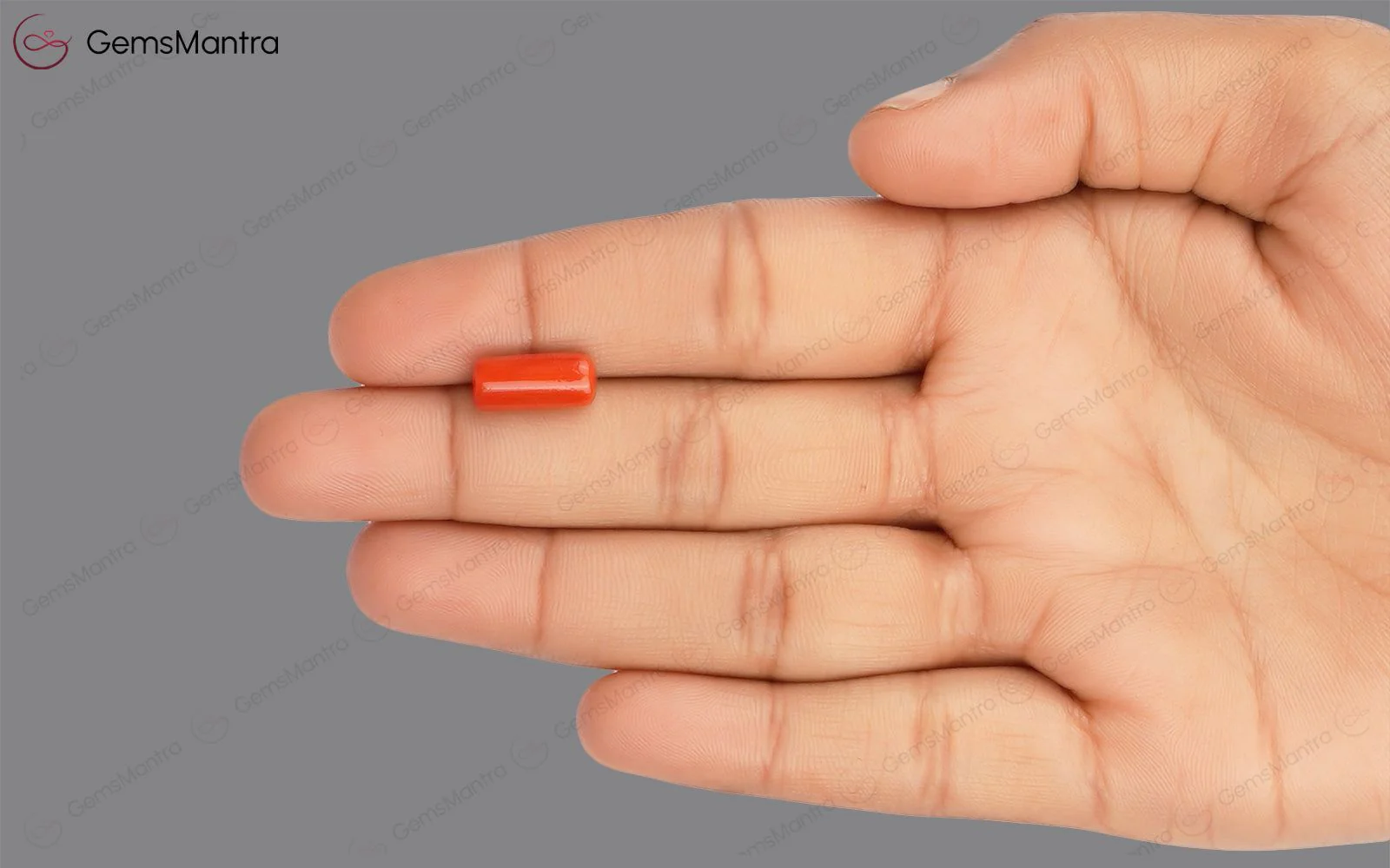 Red Coral - 3.97 Carats - Image 3
