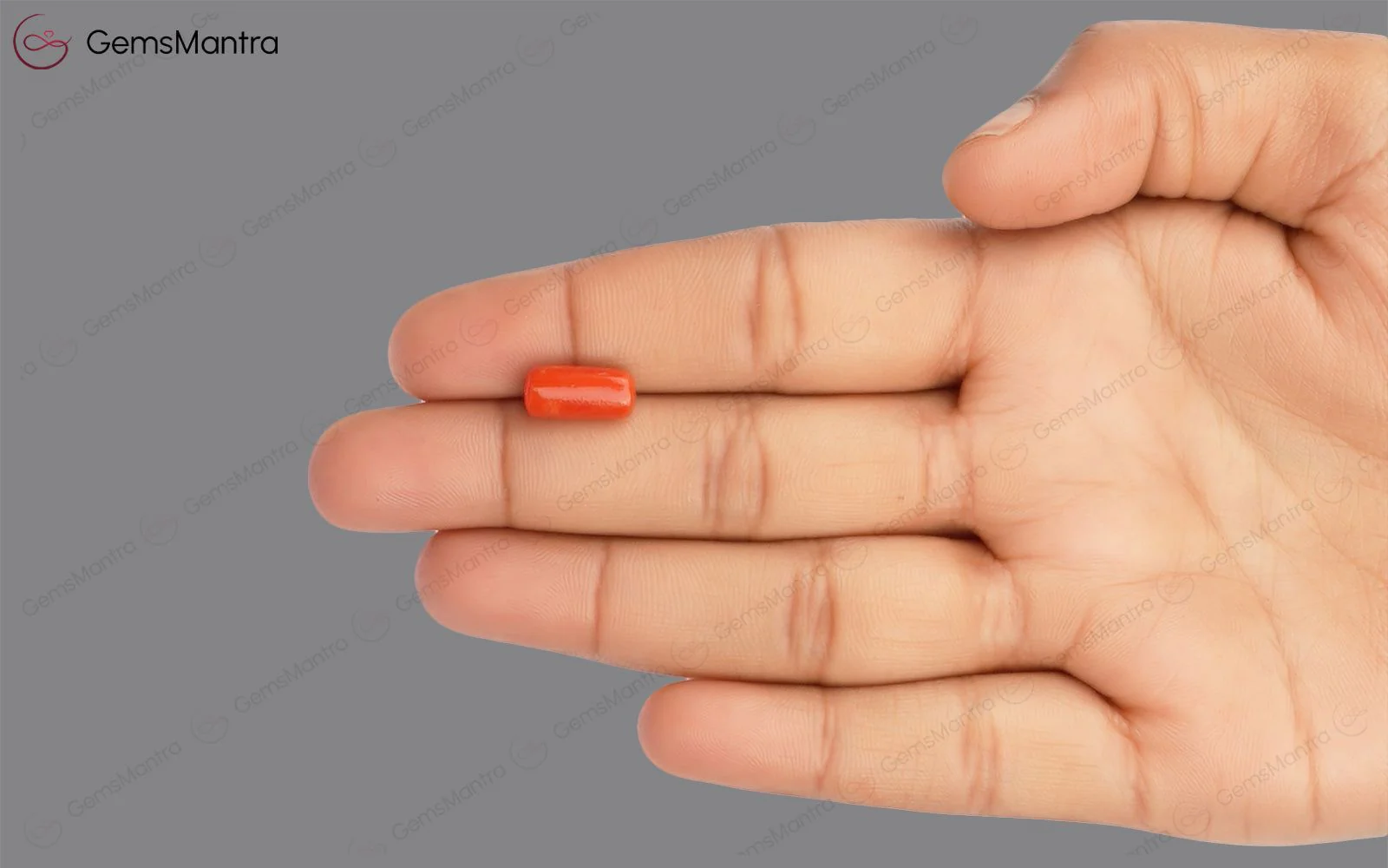 Red Coral - 3.65 Carats - Image 3
