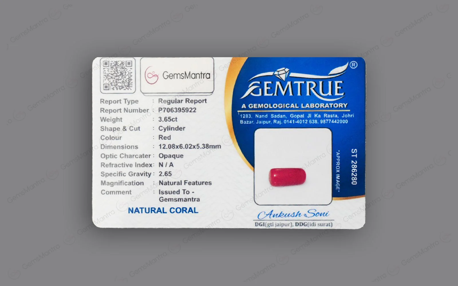 Red Coral - 3.65 Carats - Image 4