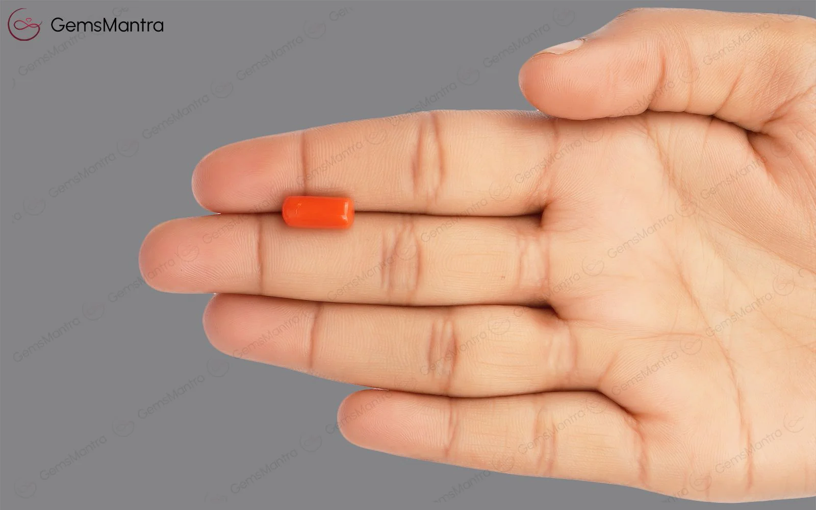 Red Coral - 3.88 Carats - Image 3