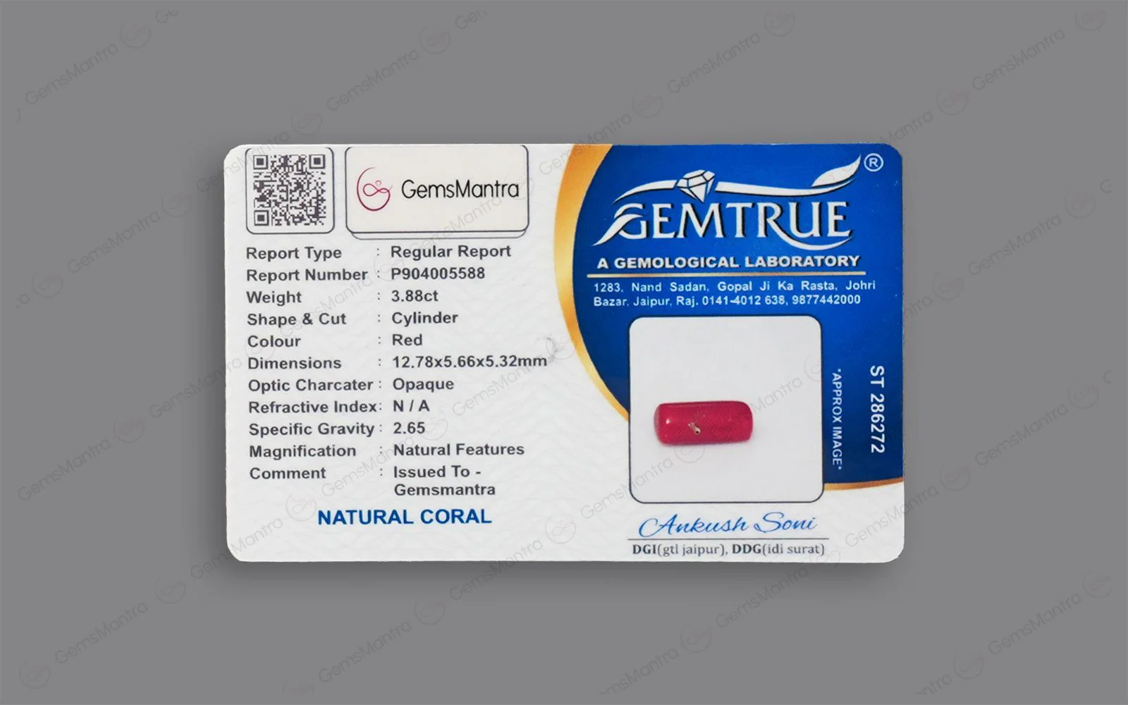 Red Coral - 3.88 Carats - Image 4
