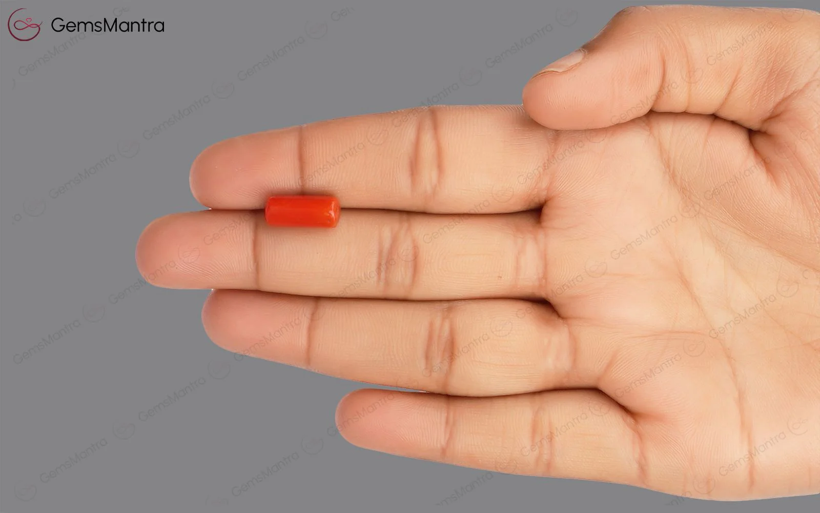 Red Coral - 3.81 Carats - Image 3