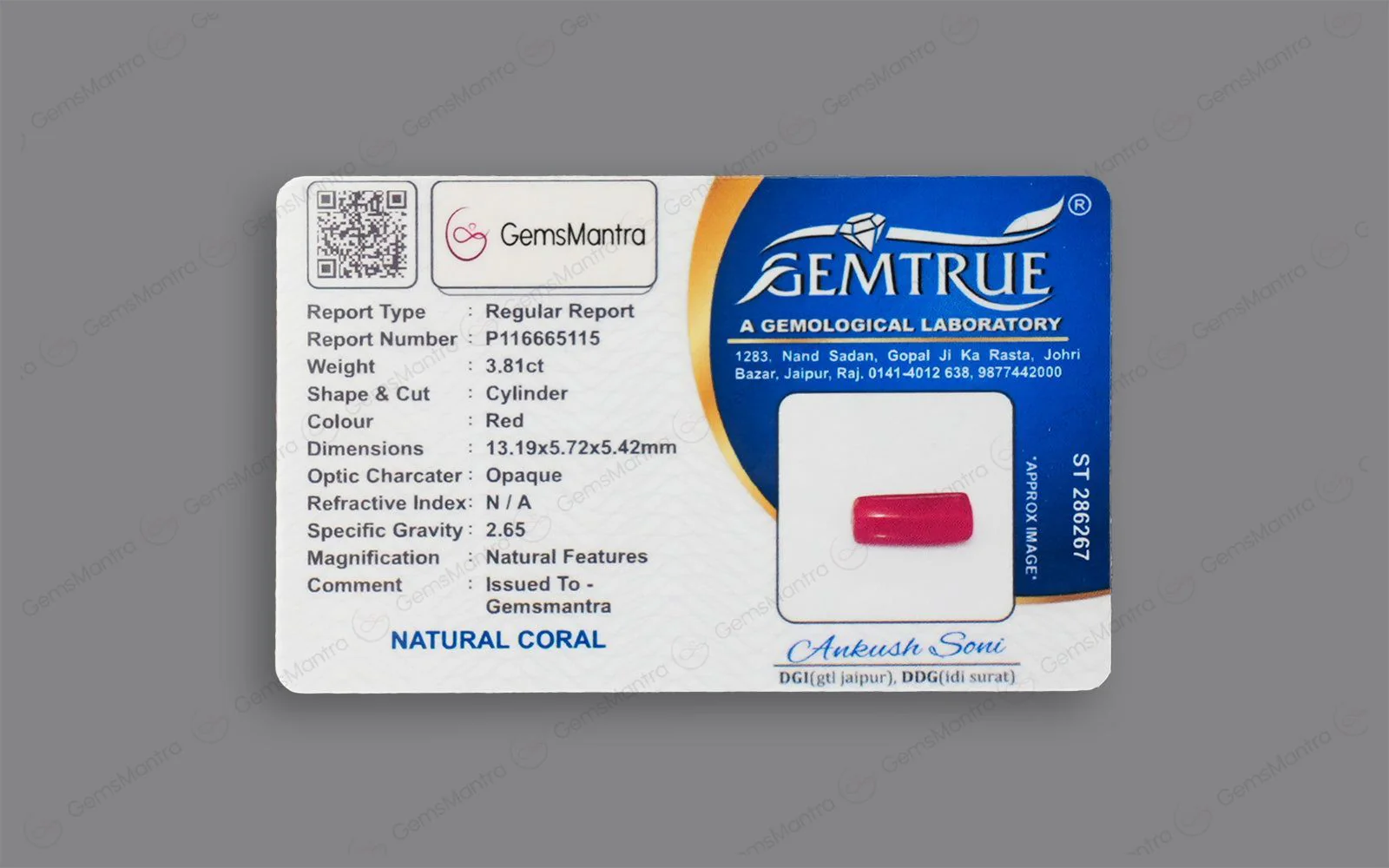 Red Coral - 3.81 Carats - Image 4