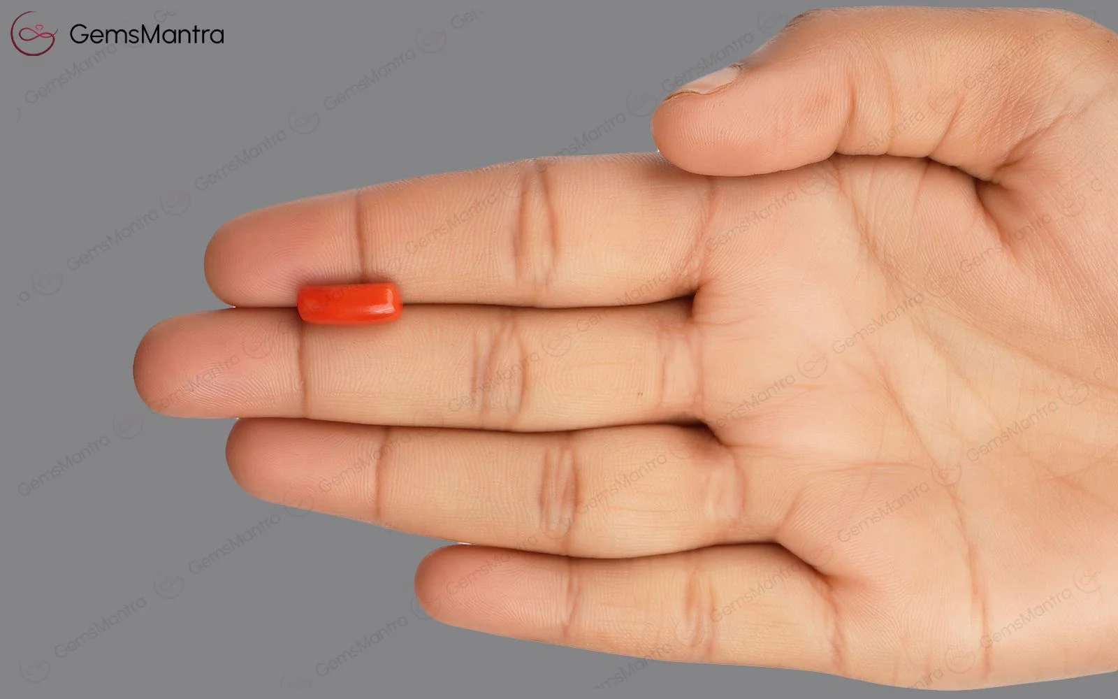 Red Coral - 3.71 Carats - Image 3