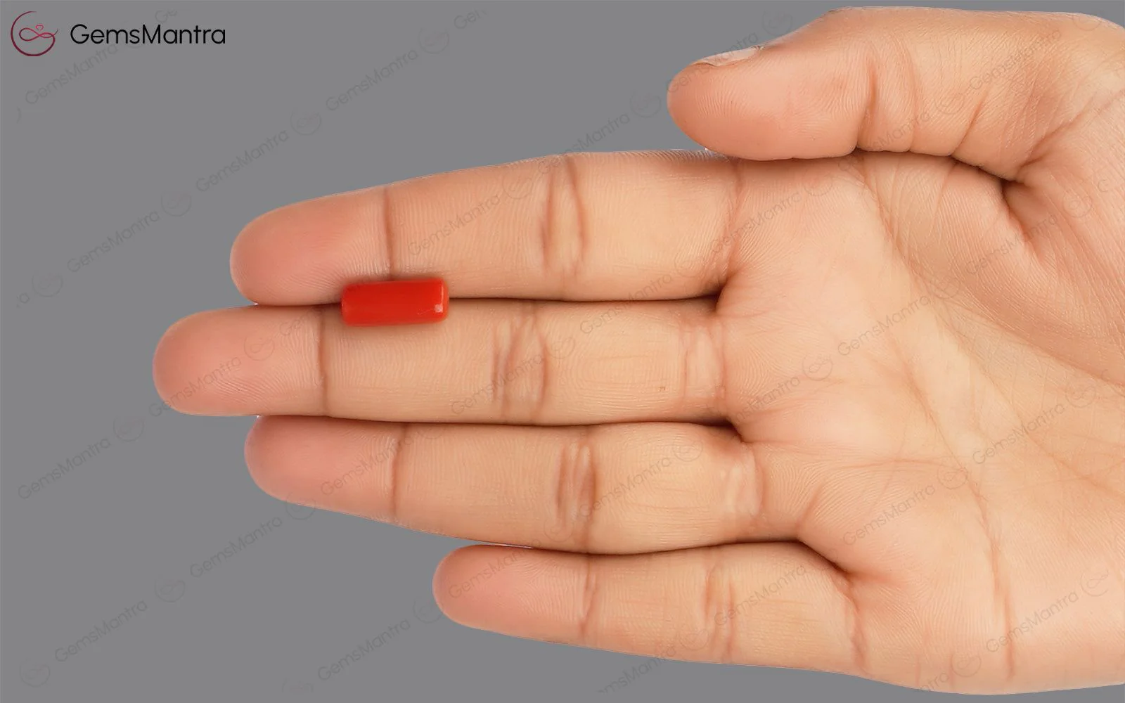 Red Coral - 3.85 Carats - Image 3