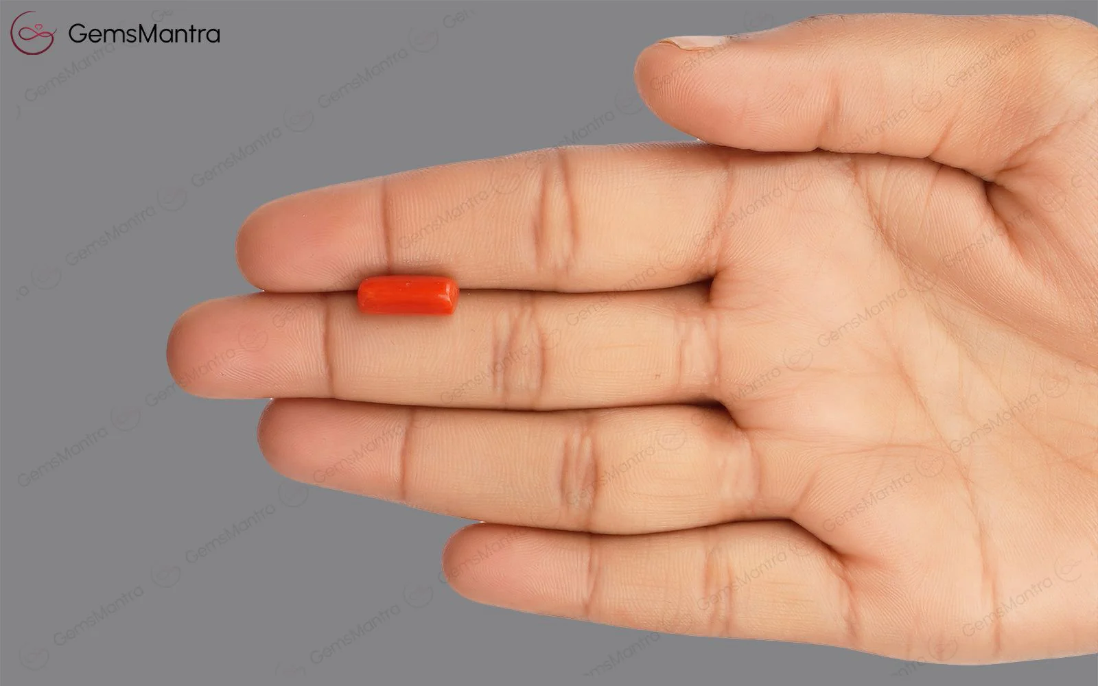 Red Coral - 3.67 Carats - Image 3