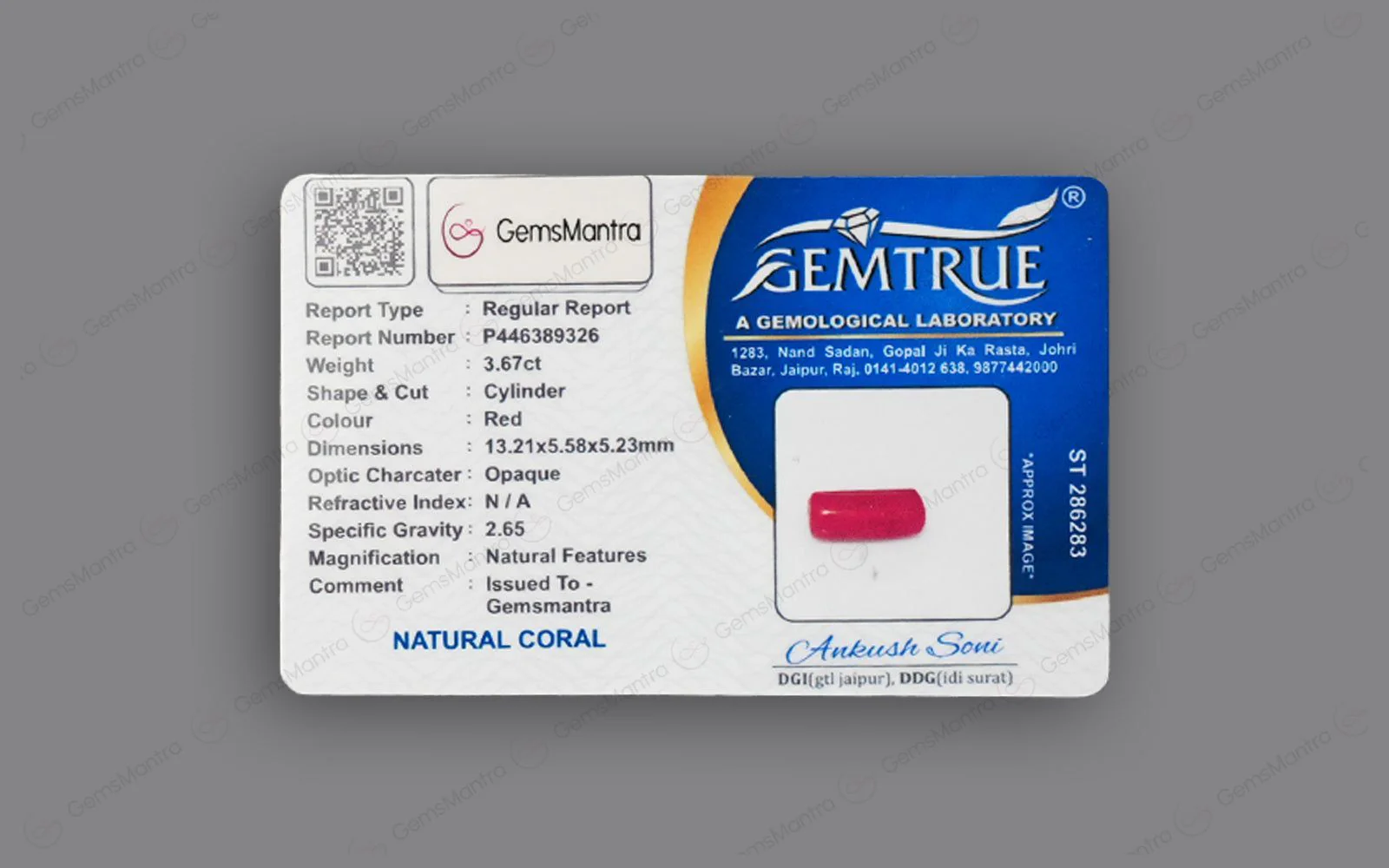 Red Coral - 3.67 Carats - Image 4