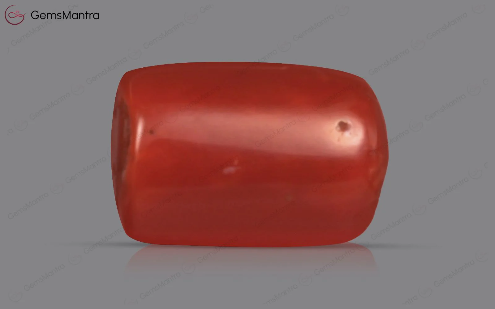 Red Coral - 4.31 Carats - Image 2