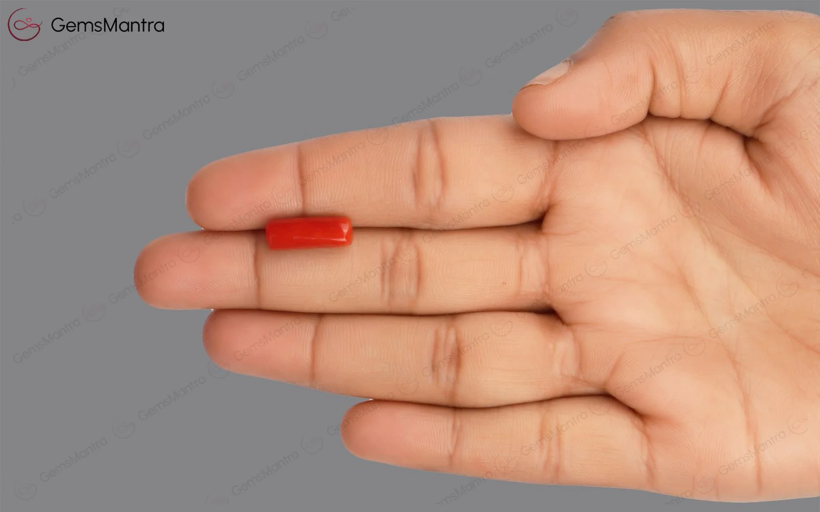 Red Coral - 4.31 Carats - Image 3
