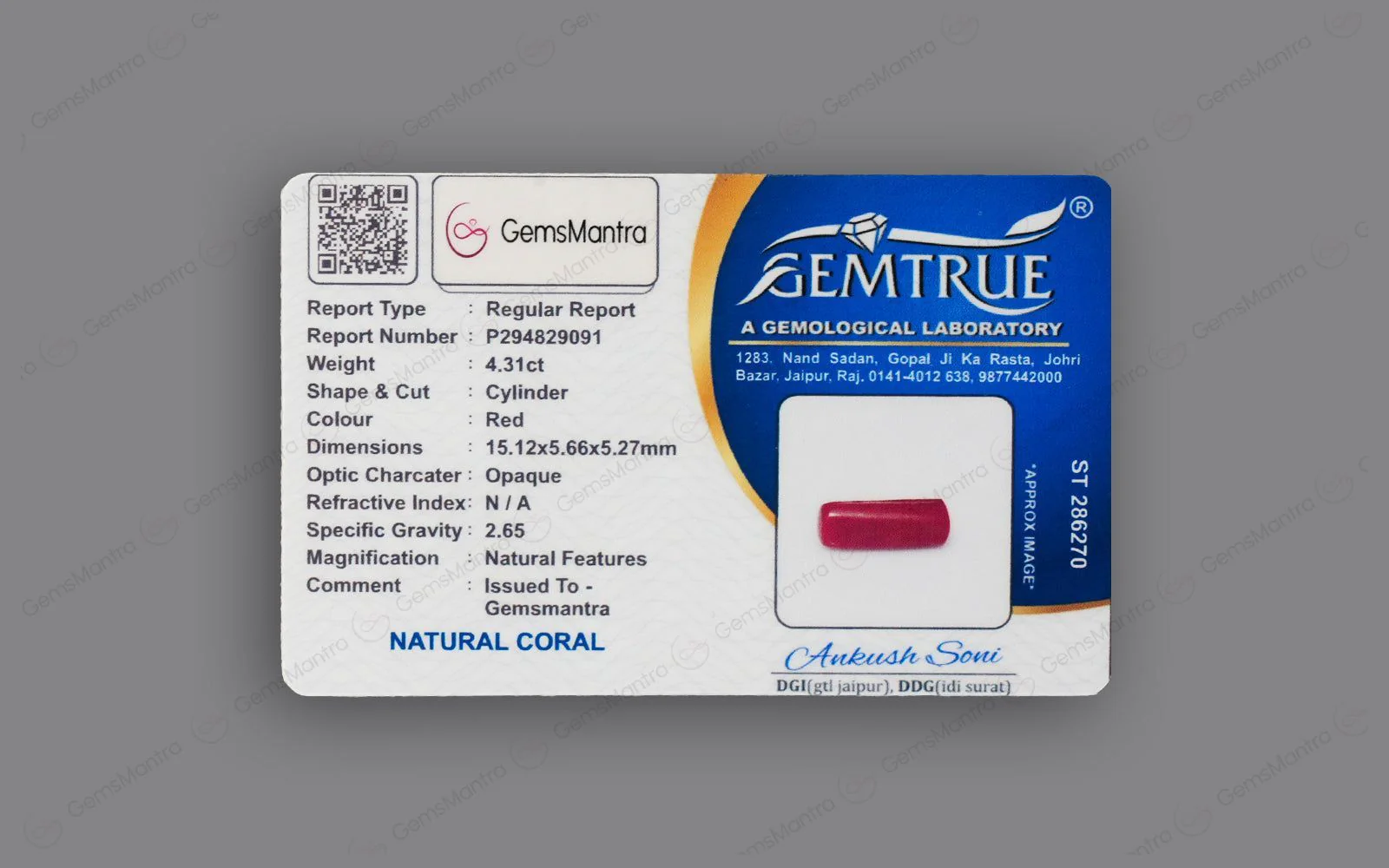 Red Coral - 4.31 Carats - Image 4