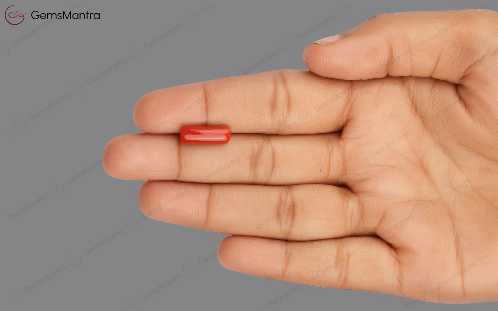 Red Coral - 4.05 Carats - Image 3