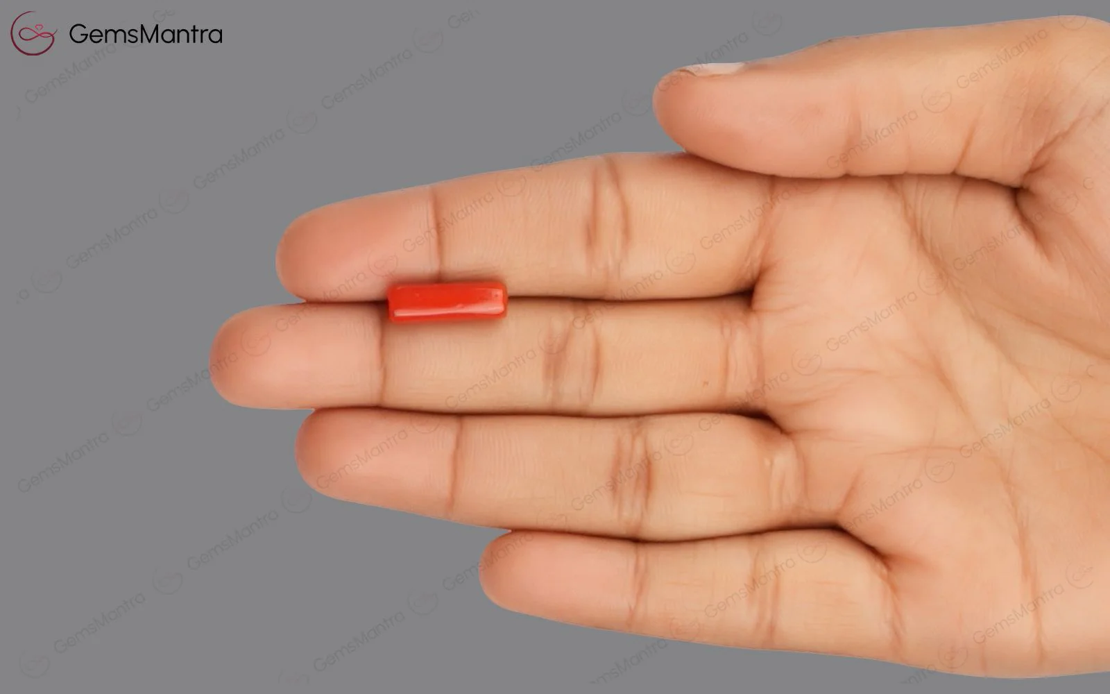Red Coral - 4.28 Carats - Image 3