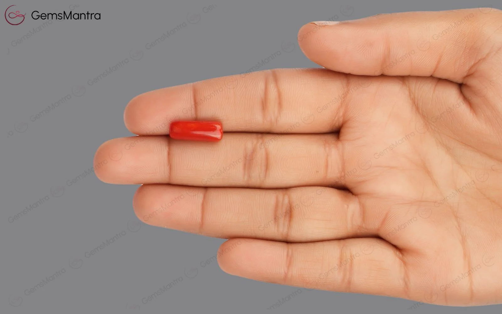Red Coral - 4.62 Carats - Image 3