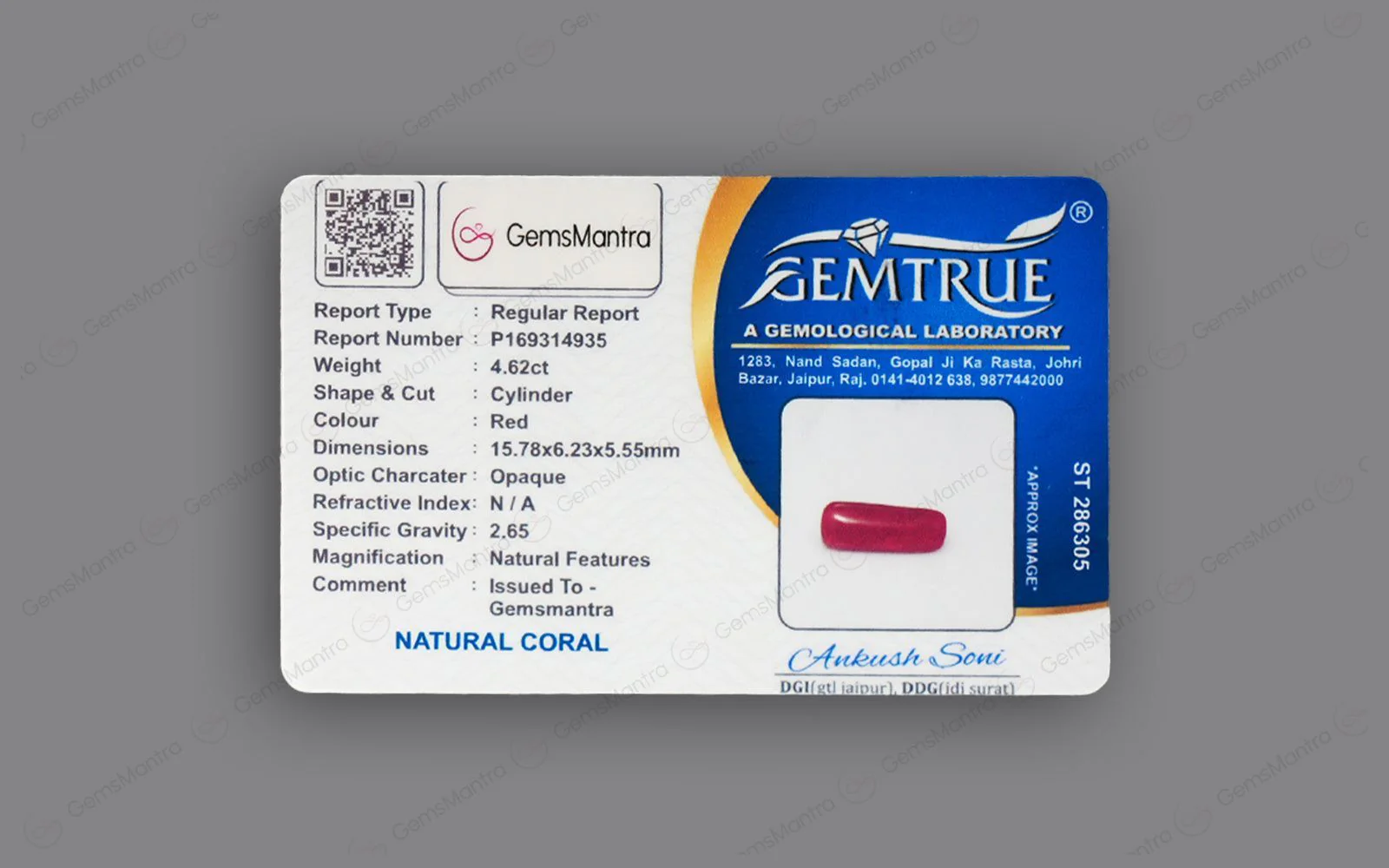 Red Coral - 4.62 Carats - Image 4