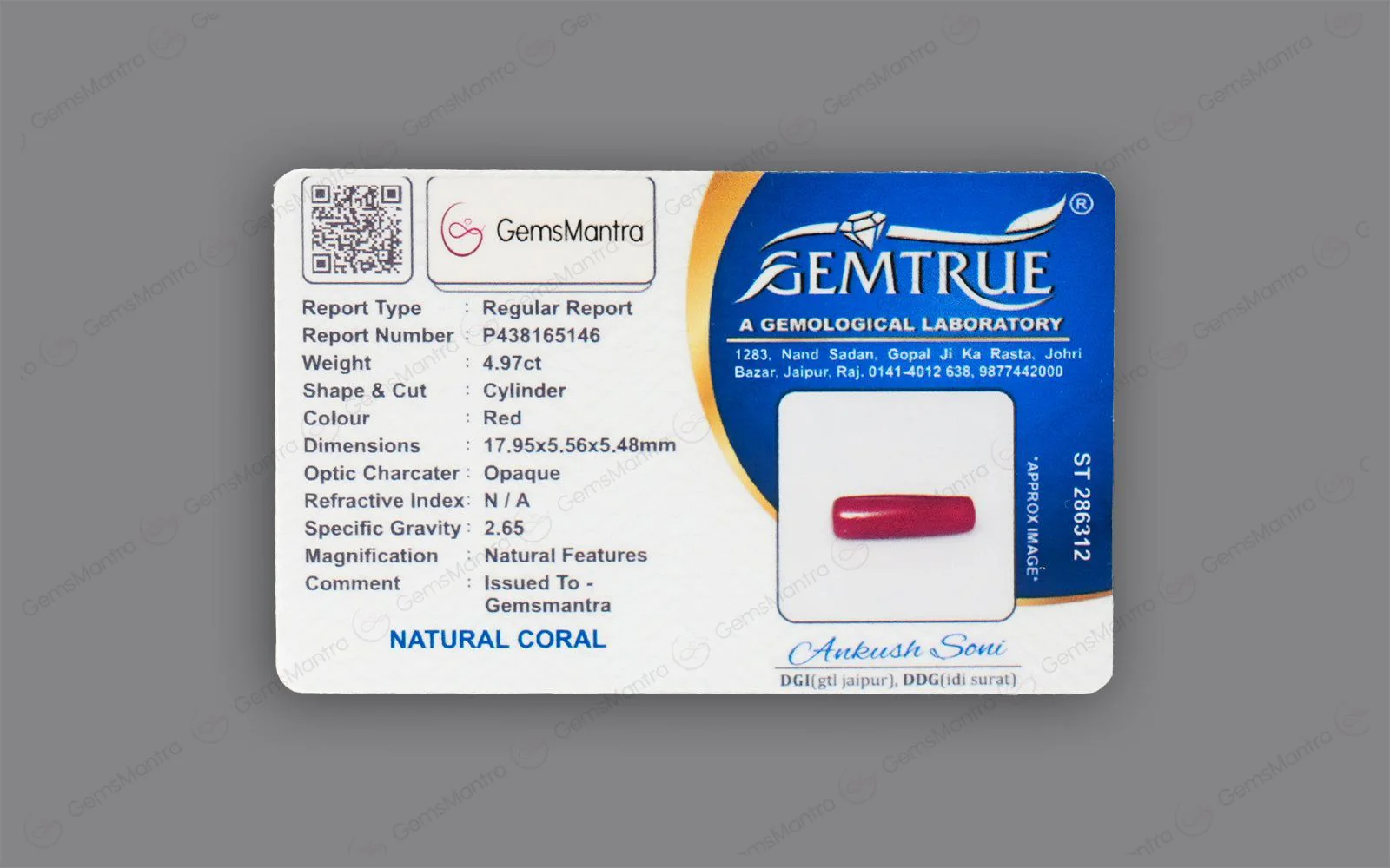 Red Coral - 4.97 Carats - Image 4