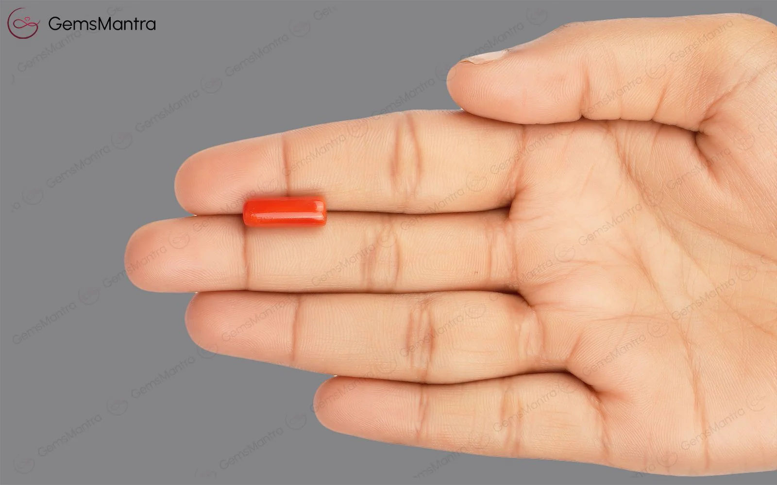 Red Coral - 4.66 Carats - Image 3