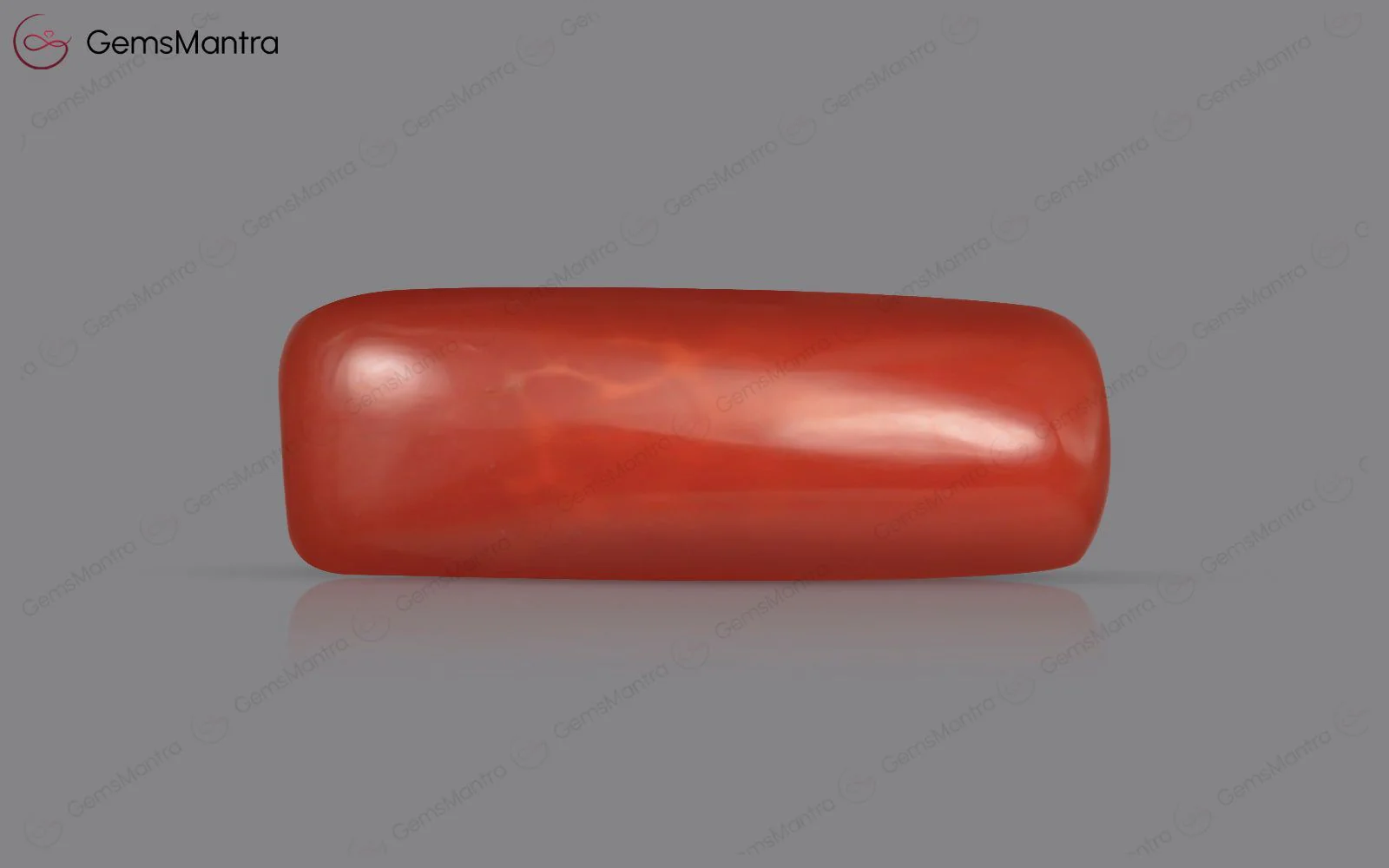 Red Coral - 4.75 Carats - Image 2