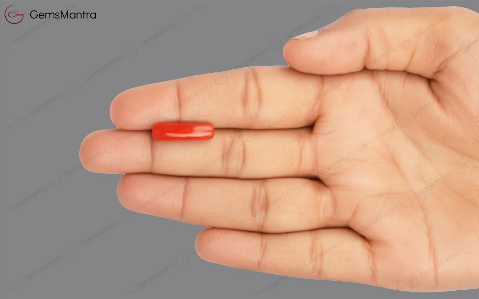 Red Coral - 4.75 Carats - Image 3