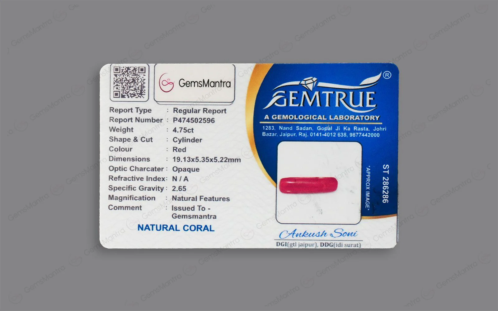 Red Coral - 4.75 Carats - Image 4