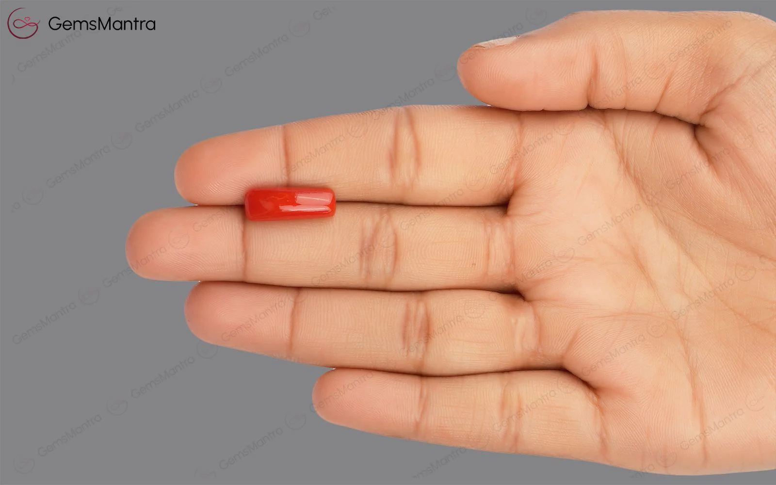 Red Coral - 4.92 Carats - Image 3