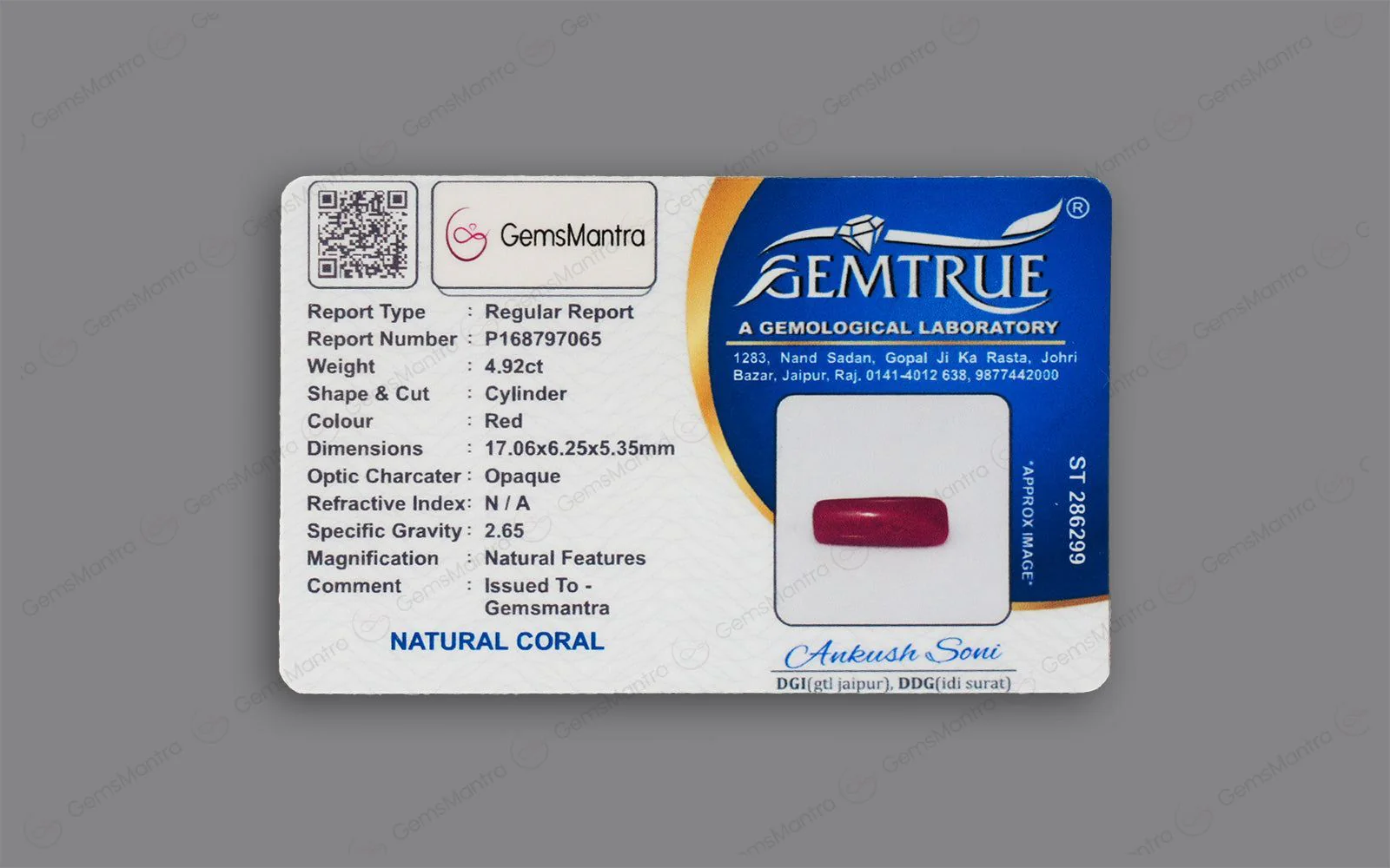 Red Coral - 4.92 Carats - Image 4