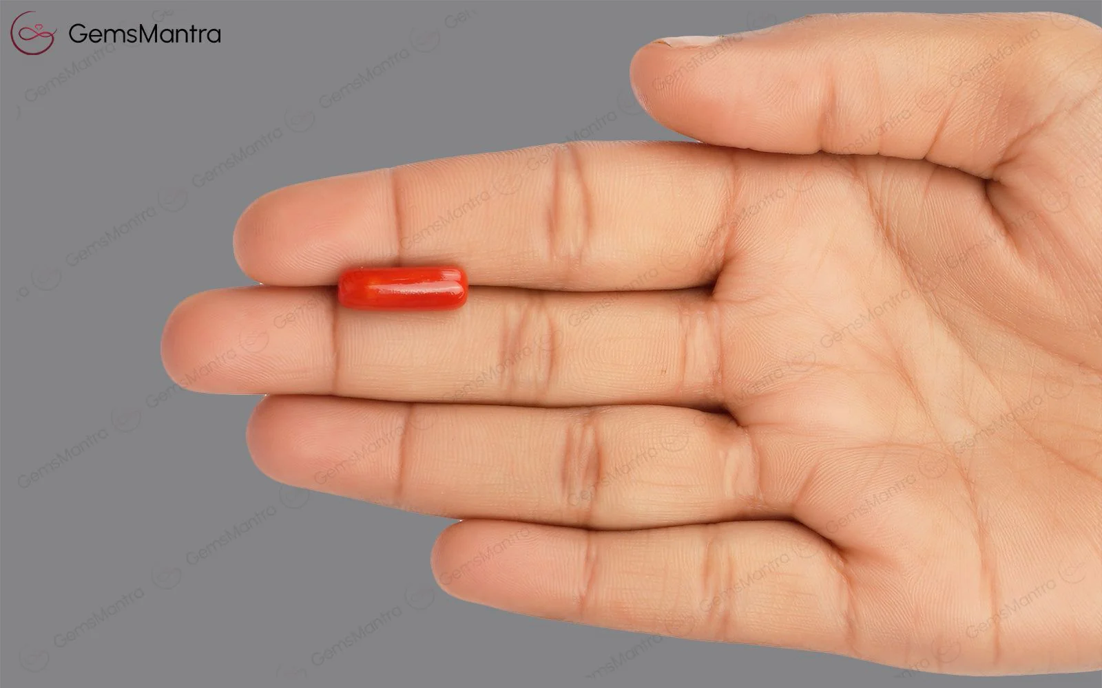 Red Coral - 4.77 Carats - Image 3