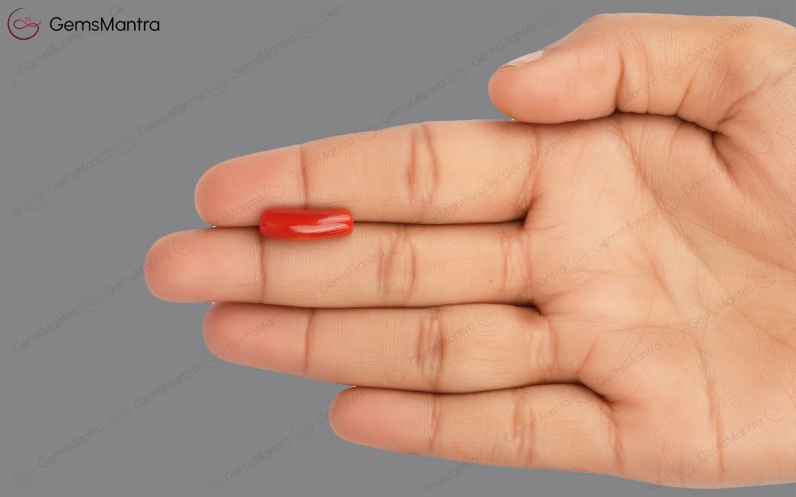Red Coral - 4.95 Carats - Image 3