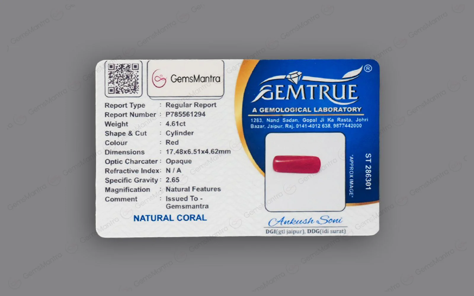 Red Coral - 4.61 Carats - Image 4