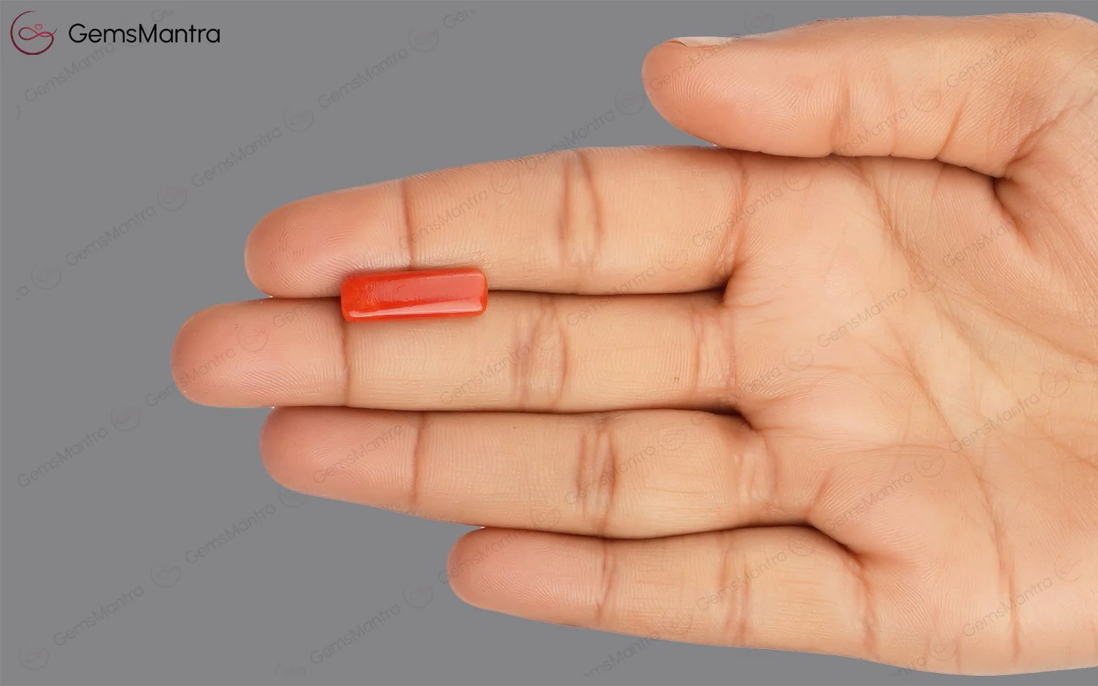 Red Coral - 4.58 Carats - Image 3