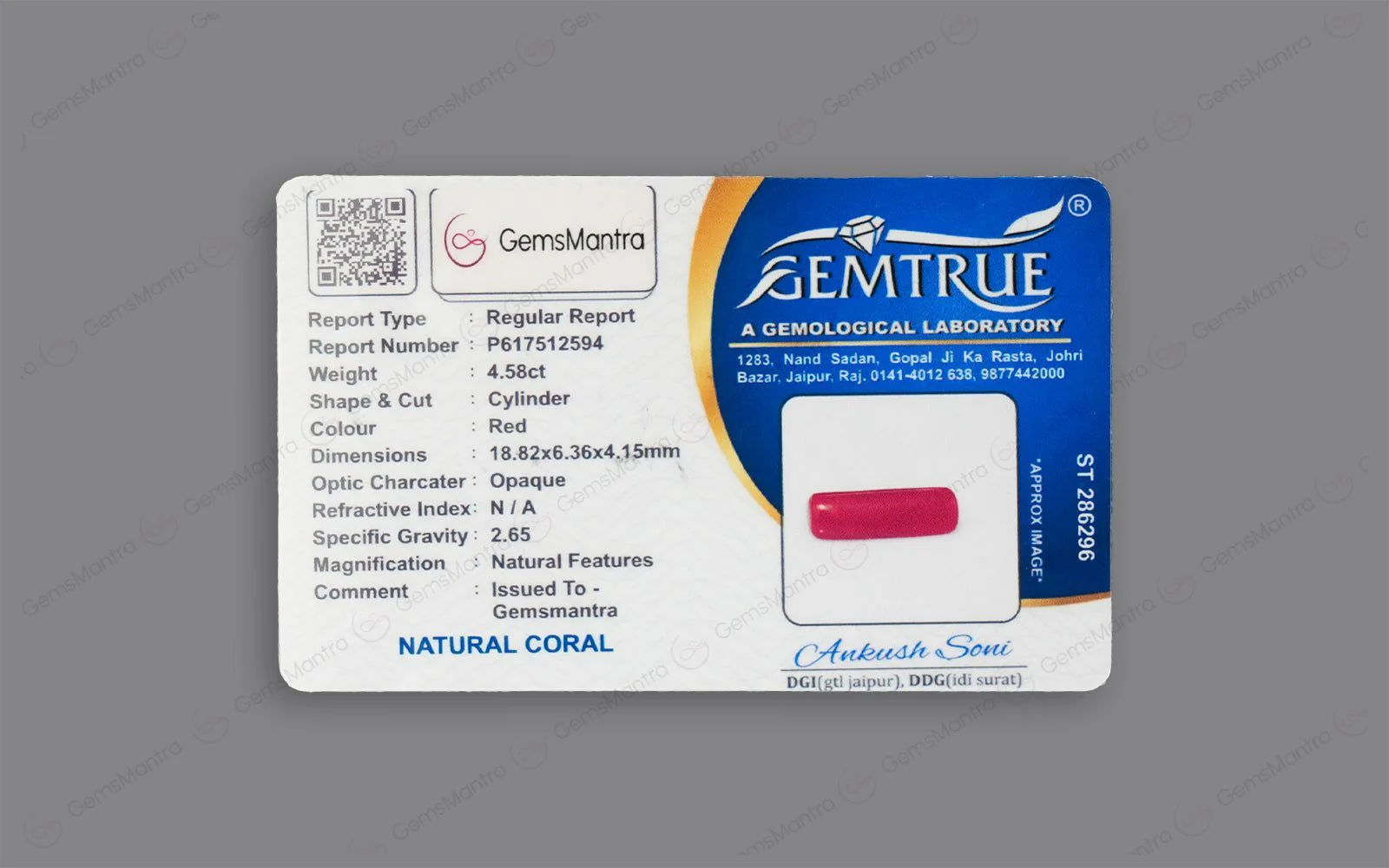 Red Coral - 4.58 Carats - Image 4
