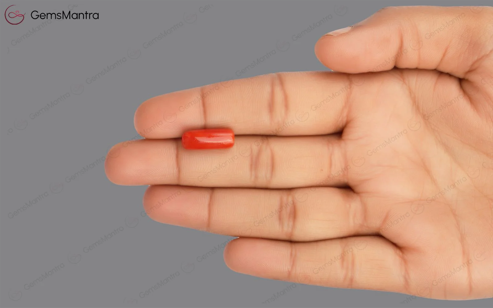 Red Coral - 4.76 Carats - Image 3