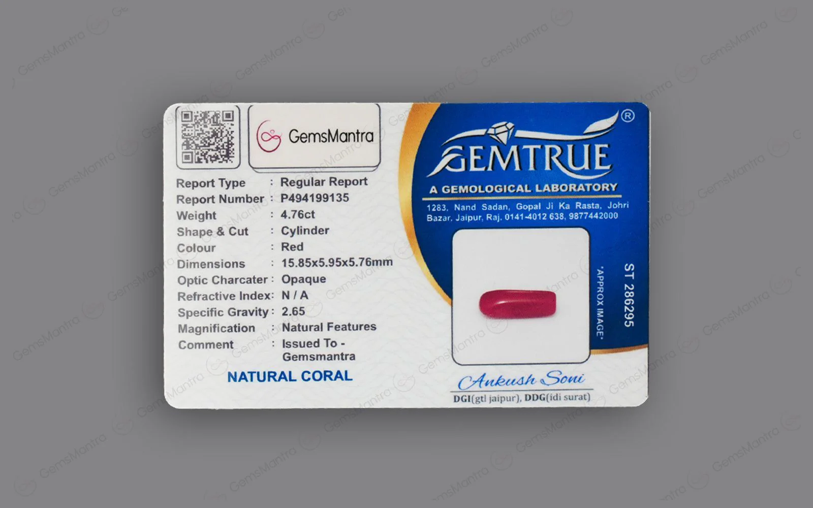 Red Coral - 4.76 Carats - Image 4