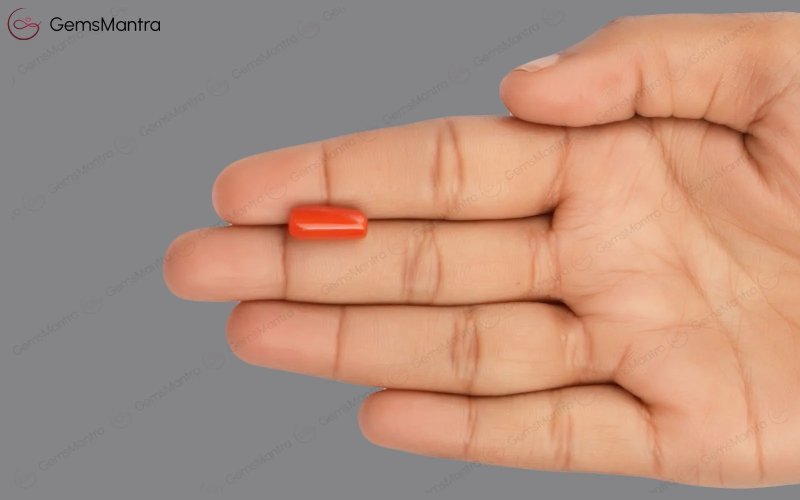 Red Coral - 4.89 Carats - Image 3