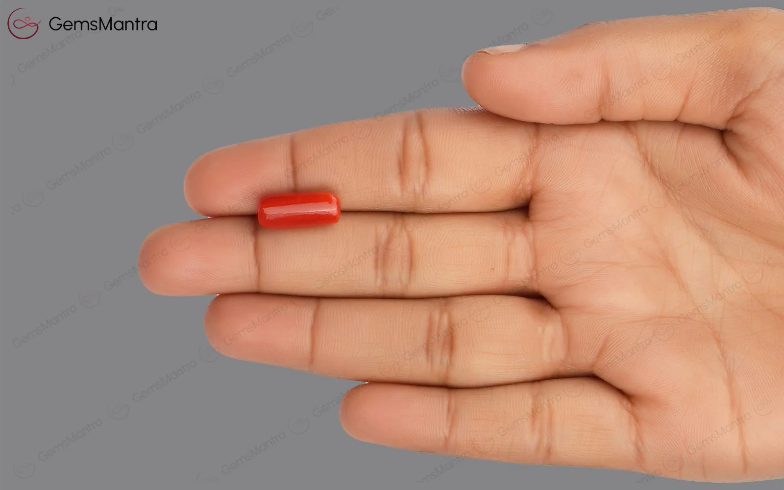 Red Coral - 4.96 Carats - Image 3