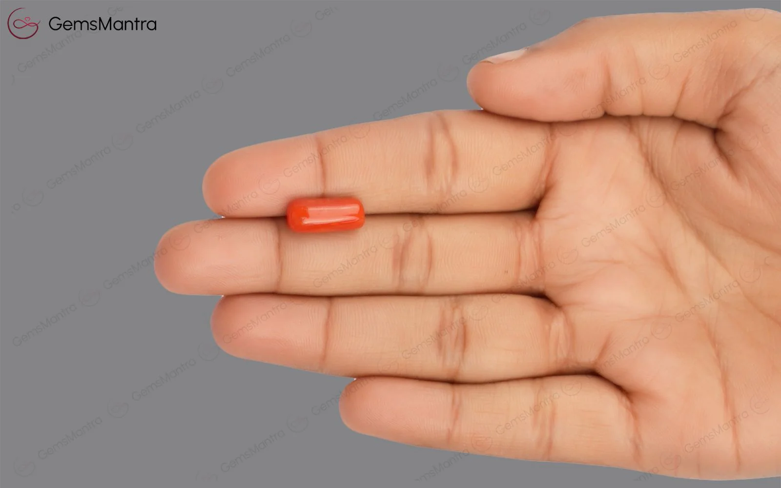 Red Coral - 4.91 Carats - Image 3