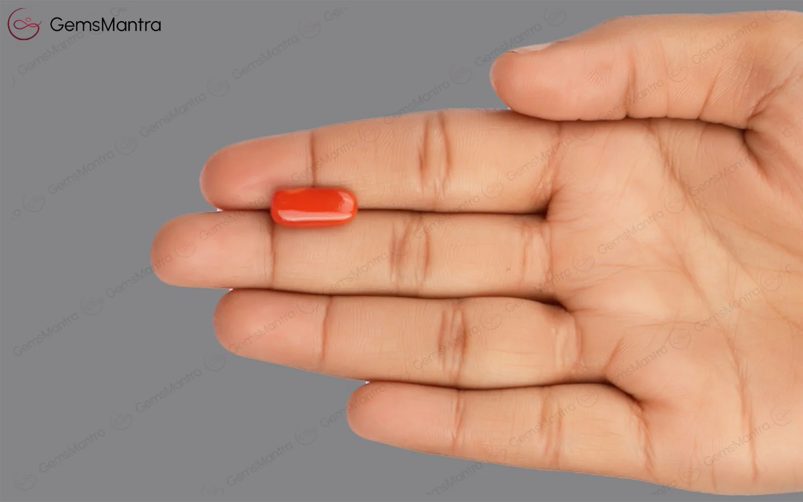 Red Coral - 4.89 Carats - Image 3