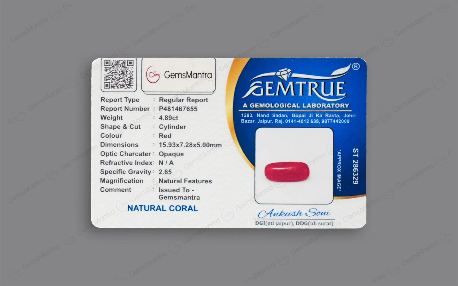 Red Coral - 4.89 Carats - Image 4
