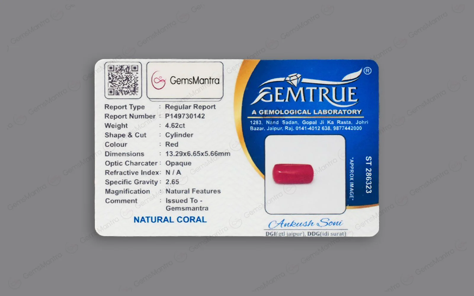 Red Coral - 4.62 Carats - Image 4