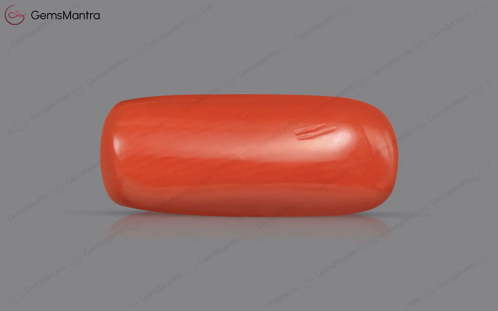 Red Coral - 4.8 Carats - Image 2