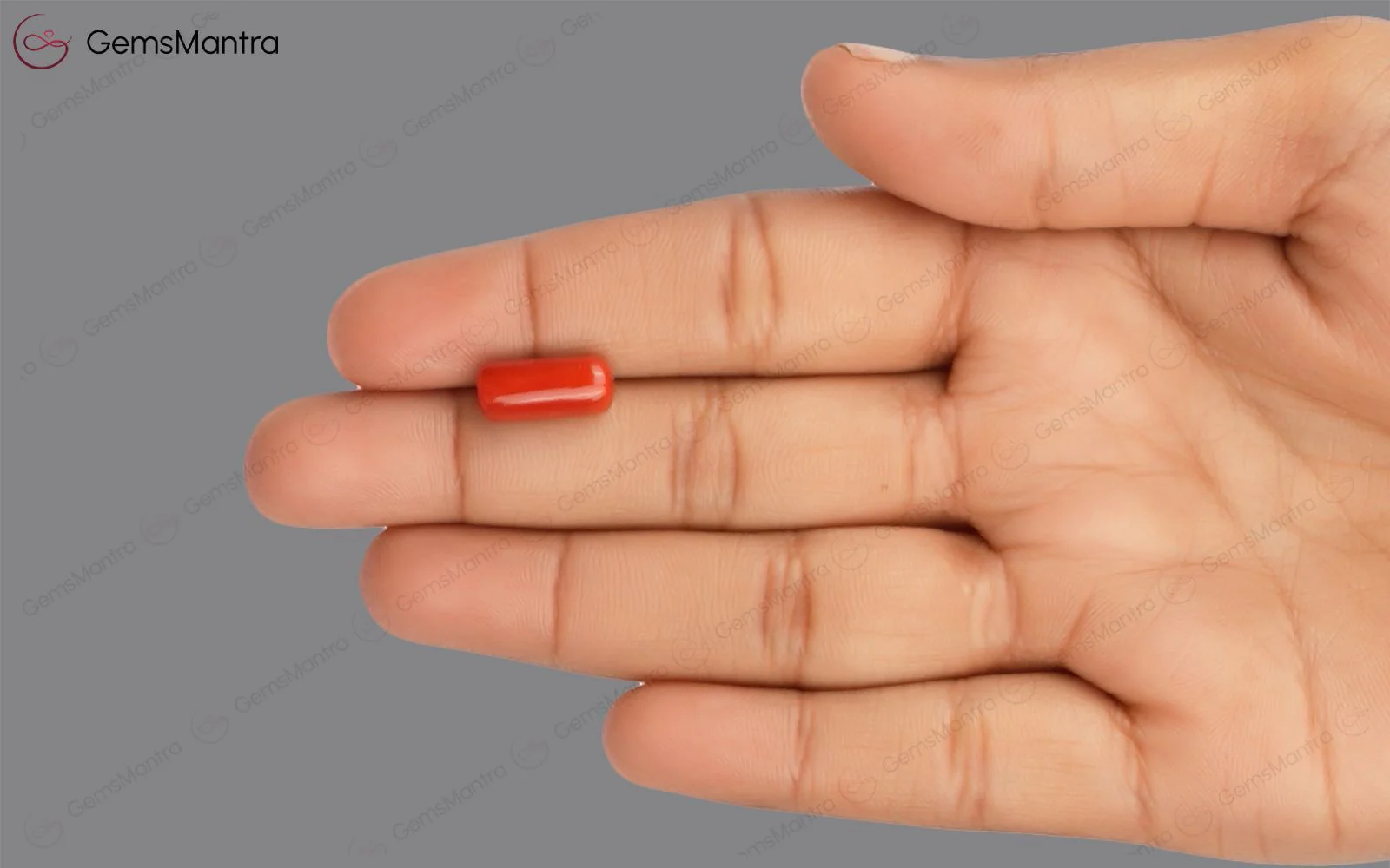 Red Coral - 4.8 Carats - Image 3