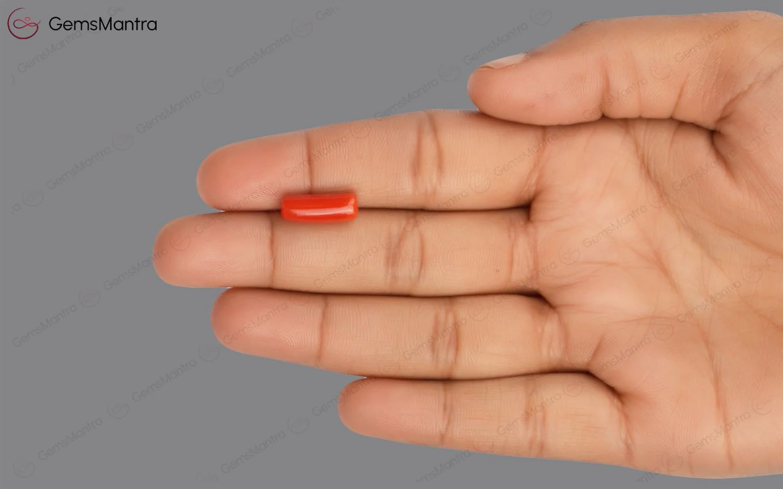 Red Coral - 4.38 Carats - Image 3