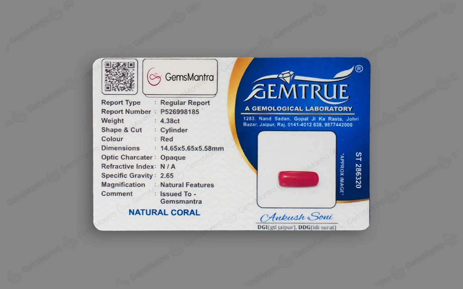 Red Coral - 4.38 Carats - Image 4