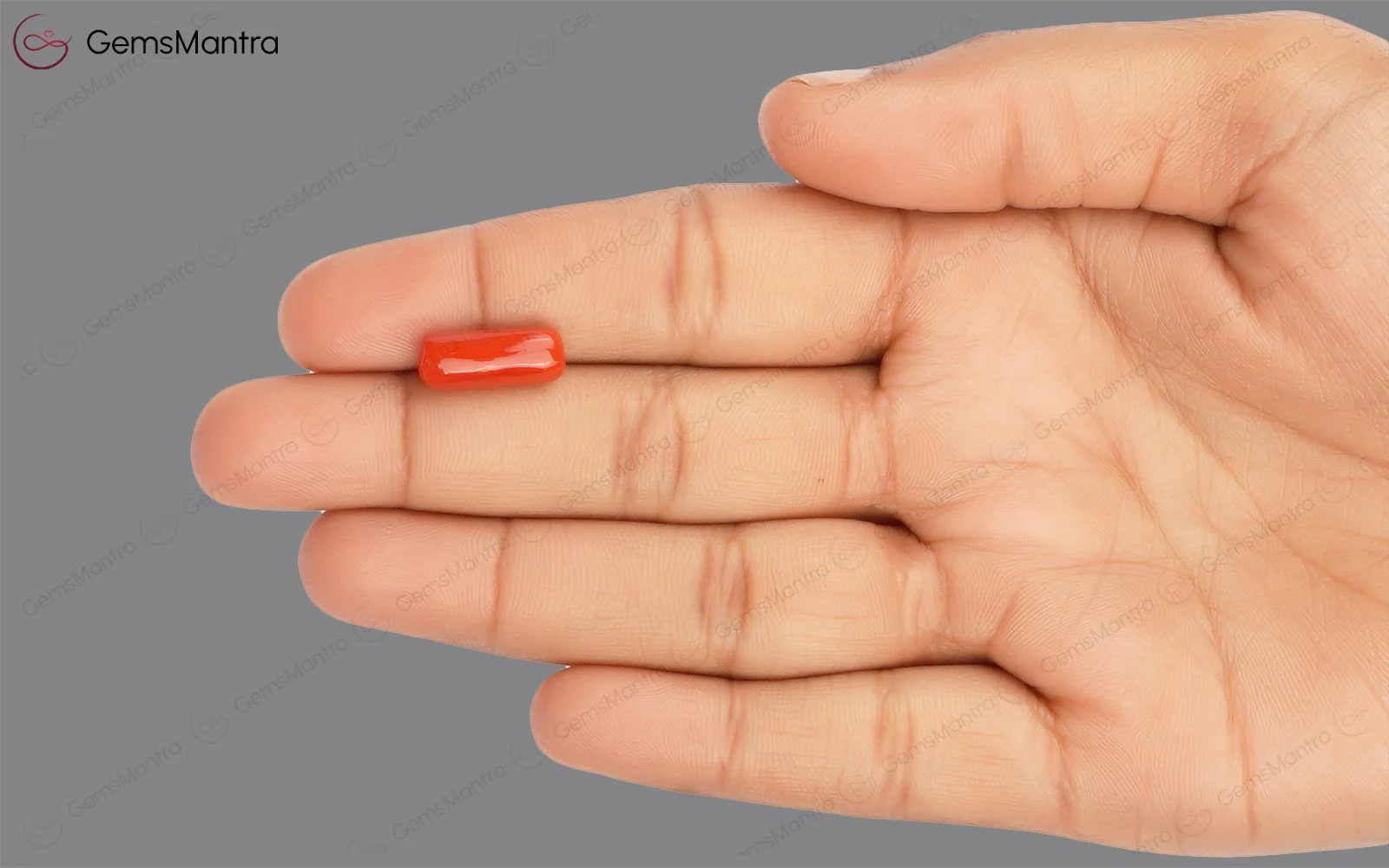 Red Coral - 4.93 Carats - Image 3